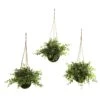 Eucalyptus, Maiden Hair & Berry Hanging Basket (Set Of 3)