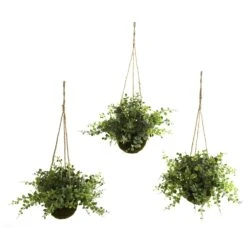 Eucalyptus, Maiden Hair & Berry Hanging Basket (Set Of 3)