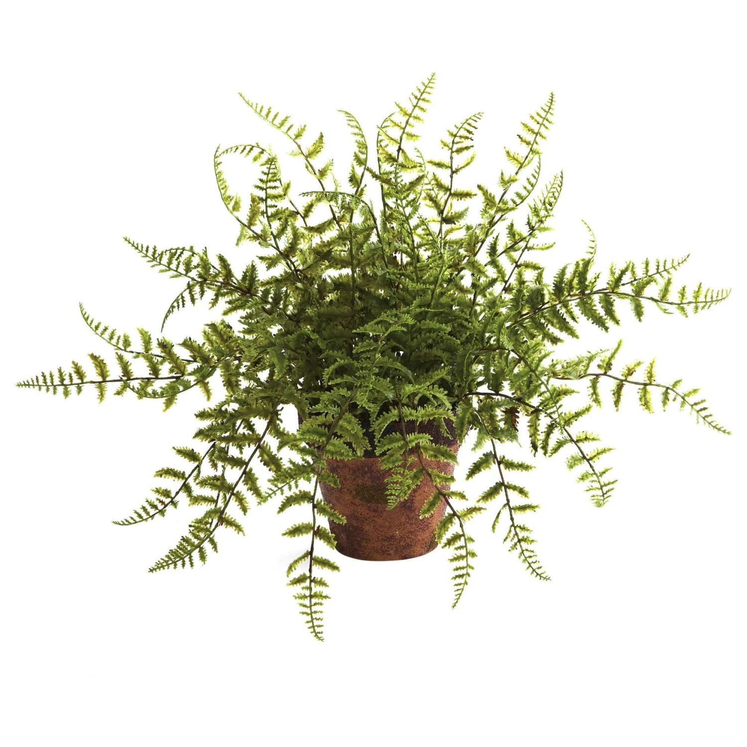 Fern W/Decorative Planter (Set Of 2) 2 Fern W/Decorative Planter (Set Of 2) - Image 2