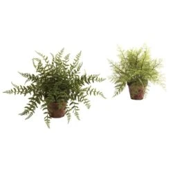 Fern W/Decorative Planter (Set Of 2)