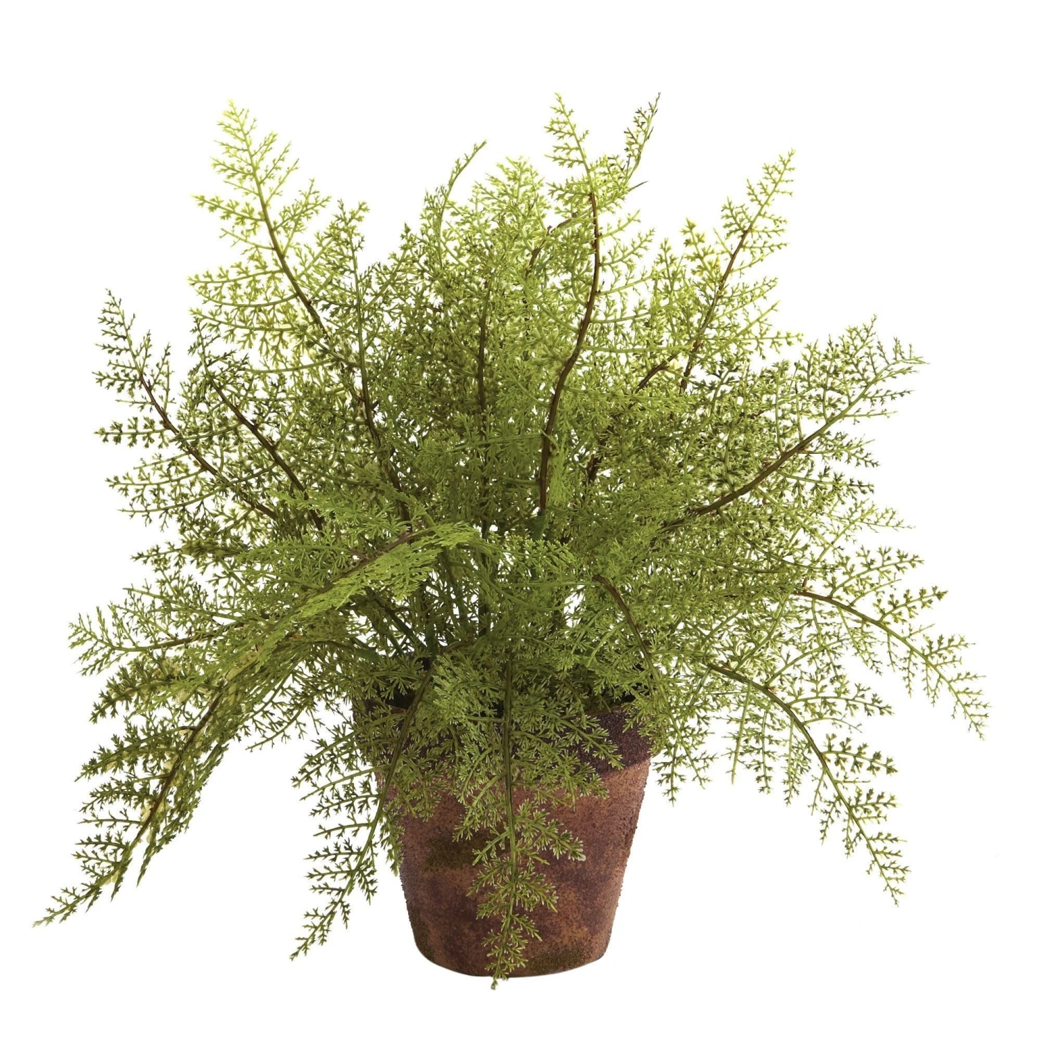 Fern W/Decorative Planter (Set Of 2) 3 Fern W/Decorative Planter (Set Of 2) - Image 3