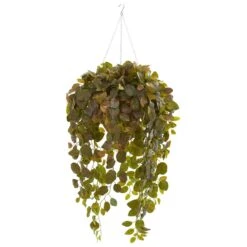 Fittonia Artificial Plant In Hanging Cone Basket (Real Touch)