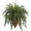 Giant River Fern With Cone Hanging Basket