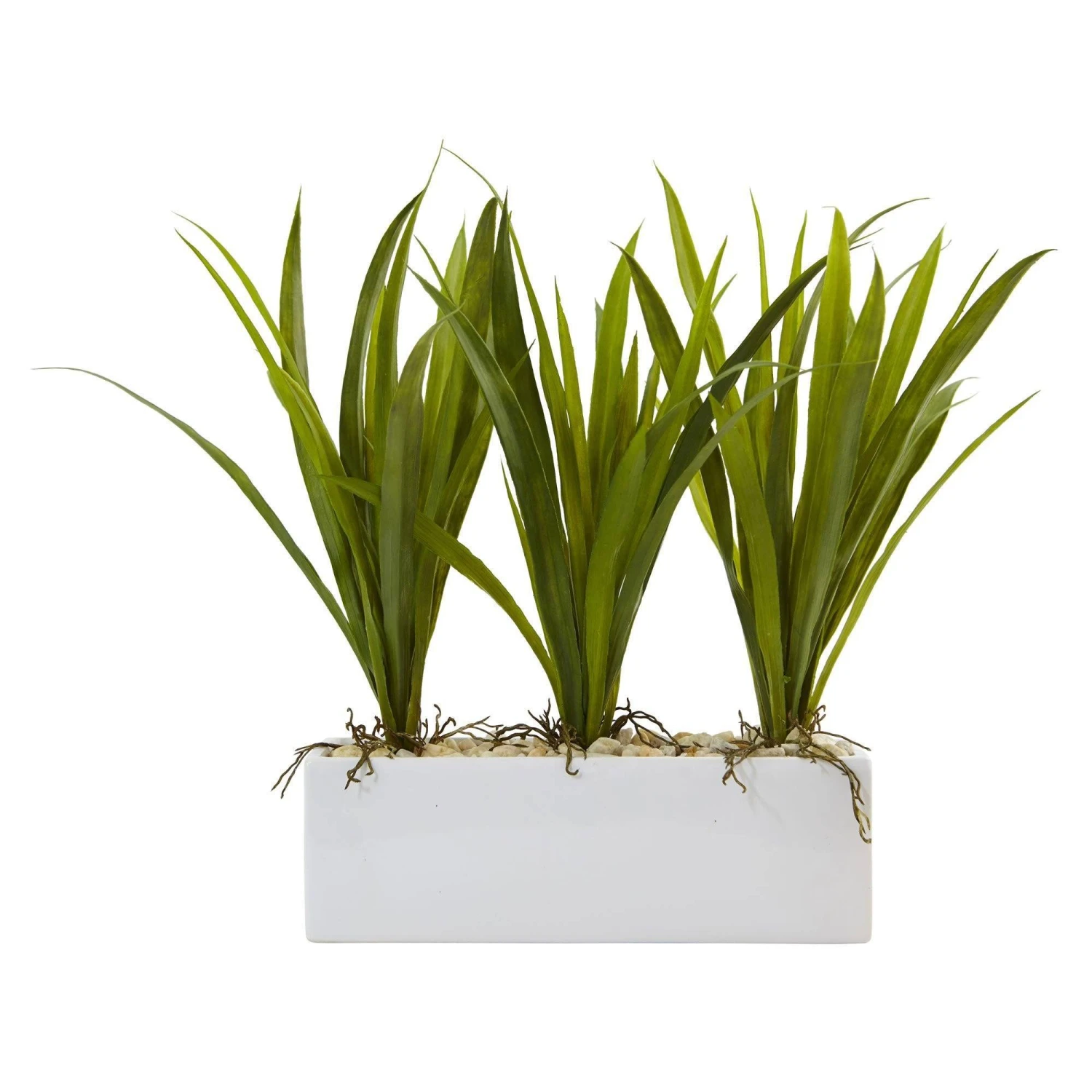 Grass In Rectangular Planter 1 Grass In Rectangular Planter