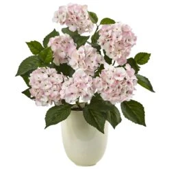 Hydrangea With White Planter