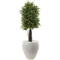 Ixora Topiary With White Planter UV Resistant (Indoor/Outdoor)