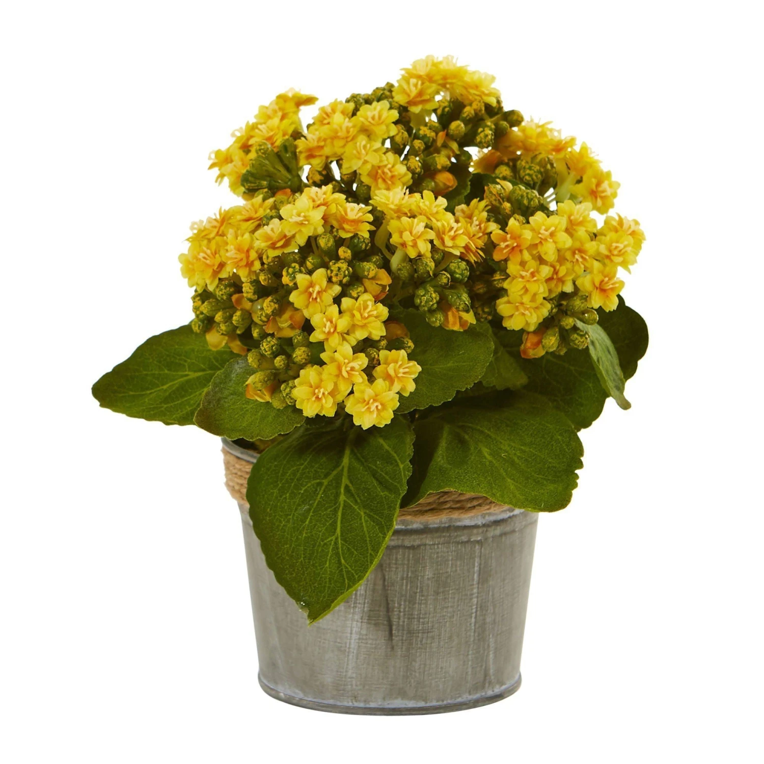 Kalanchoe Artificial Arrangements (Set Of 3) 2 Kalanchoe Artificial Arrangements (Set Of 3) - Image 2