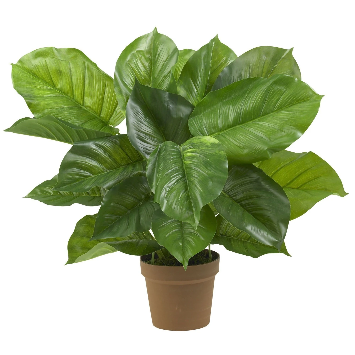 Large Leaf Philodendron Silk Plant (Real Touch) 1 Large Leaf Philodendron Silk Plant (Real Touch)