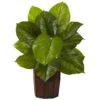 Large Leaf Philodendron W/Decorative Planter (Real Touch)