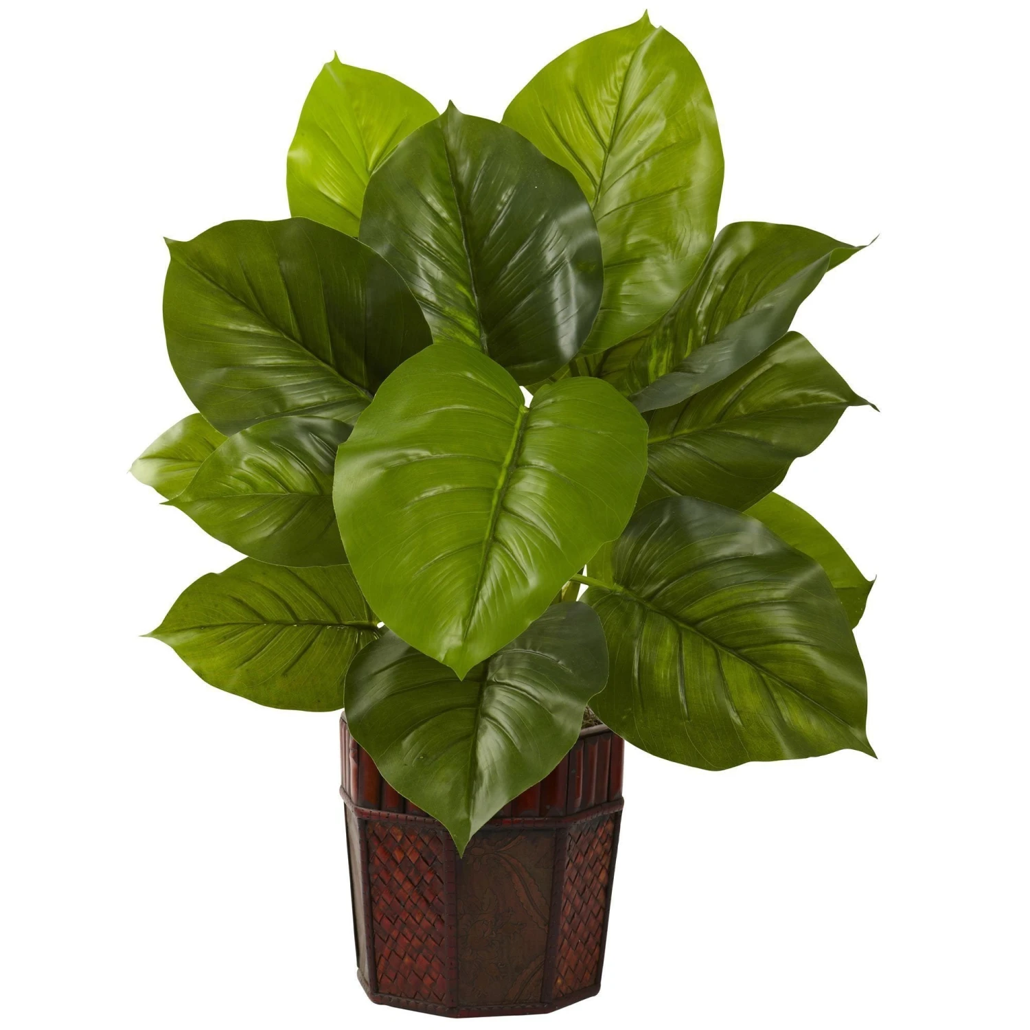 Large Leaf Philodendron W/Decorative Planter (Real Touch) 1 Large Leaf Philodendron W/Decorative Planter (Real Touch)