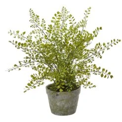 Maiden Hair Artificial Plant In Decorative Planter