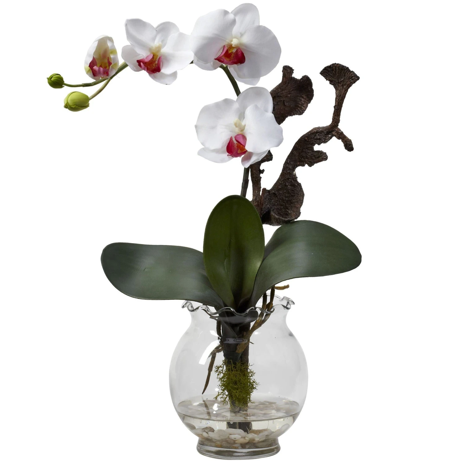 Mini Phalaenopsis W/Fluted Vase Silk Flower Arrangement 2 Mini Phalaenopsis W/Fluted Vase Silk Flower Arrangement - Image 2