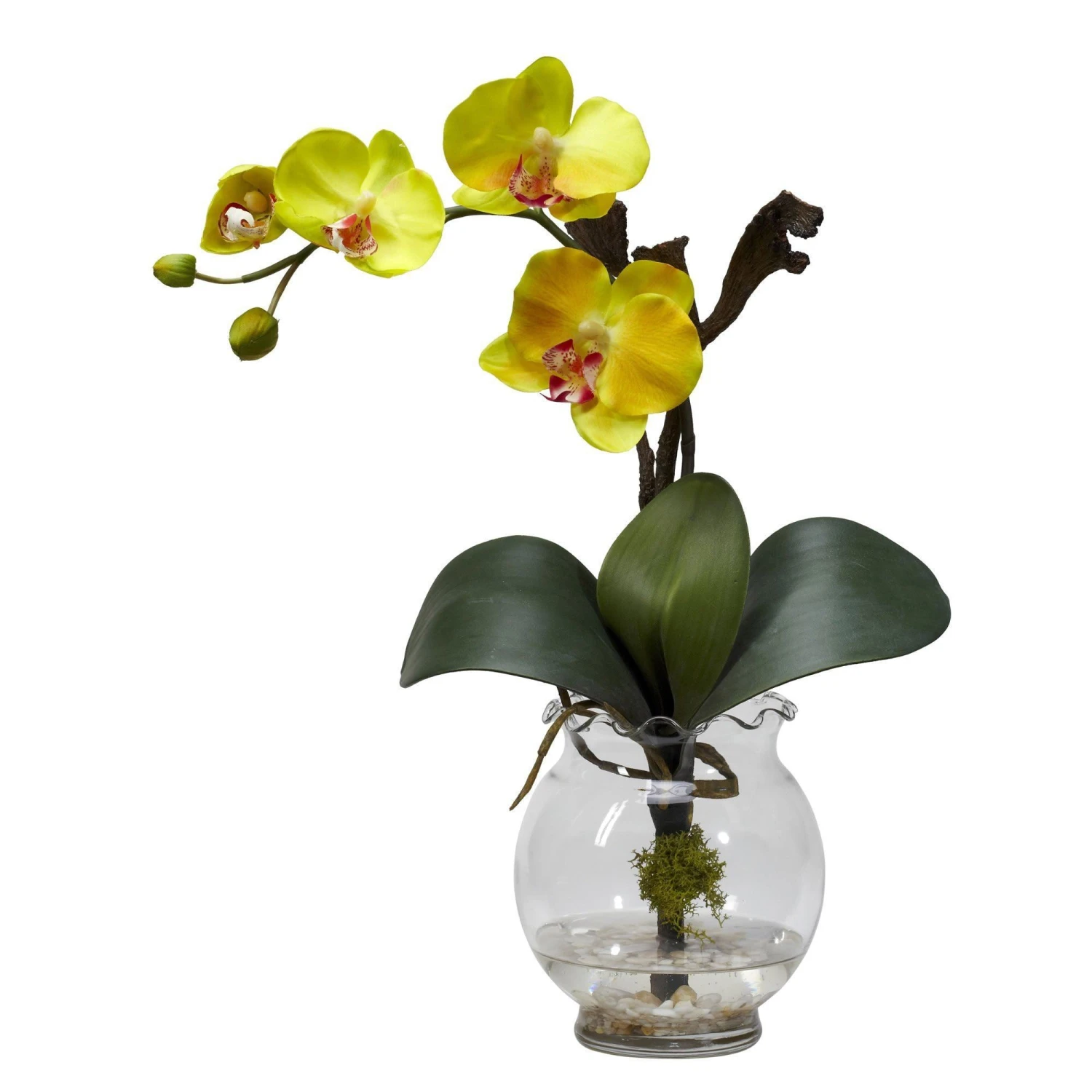 Mini Phalaenopsis W/Fluted Vase Silk Flower Arrangement 3 Mini Phalaenopsis W/Fluted Vase Silk Flower Arrangement - Image 3