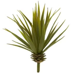 Mini Spiky Agave Succulent Plant (Set Of 12)
