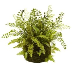 Mixed Fern W/Twig And Moss Basket