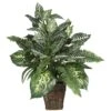 Mixed Greens Zebra W/Wicker Silk Plant