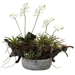 Orchid & Succulent Garden W/Driftwood & Decorative Vase
