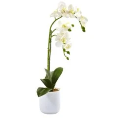 Phalaenopsis In Frosted Glass -Artificial Trees Store artificial phalaenopsis in frosted glass nearly natural 910753