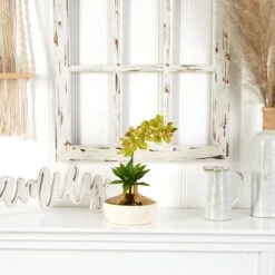 Phalaenopsis Orchid And Agave Artificial Arrangement In Vase -Artificial Trees Store artificial phalaenopsis orchid and agave artificial arrangement in vase nearly natural 944769