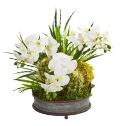 Phalaenopsis Orchid And Cactus Artificial Arrangement