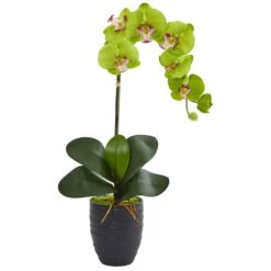 Phalaenopsis Orchid In Black Vase 11 Phalaenopsis Orchid In Black Vase -Artificial Trees Store artificial phalaenopsis orchid in black vase nearly natural green 228730