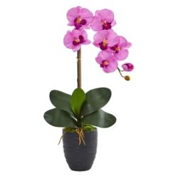 Phalaenopsis Orchid In Black Vase 12 Phalaenopsis Orchid In Black Vase -Artificial Trees Store artificial phalaenopsis orchid in black vase nearly natural mauve 488267