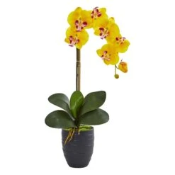 Phalaenopsis Orchid In Black Vase 15 Phalaenopsis Orchid In Black Vase -Artificial Trees Store artificial phalaenopsis orchid in black vase nearly natural yellow 811255