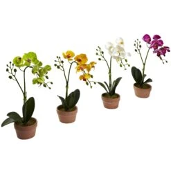 Phalaenopsis Orchid W/Clay Vase (Set Of 4) 11 Phalaenopsis Orchid W/Clay Vase (Set Of 4) -Artificial Trees Store artificial phalaenopsis orchid wclay vase set of 4 nearly natural 250298