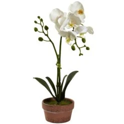 Phalaenopsis Orchid W/Clay Vase (Set Of 4) 10 Phalaenopsis Orchid W/Clay Vase (Set Of 4) -Artificial Trees Store artificial phalaenopsis orchid wclay vase set of 4 nearly natural 273155