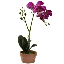 Phalaenopsis Orchid W/Clay Vase (Set Of 4) 9 Phalaenopsis Orchid W/Clay Vase (Set Of 4) -Artificial Trees Store artificial phalaenopsis orchid wclay vase set of 4 nearly natural 806348