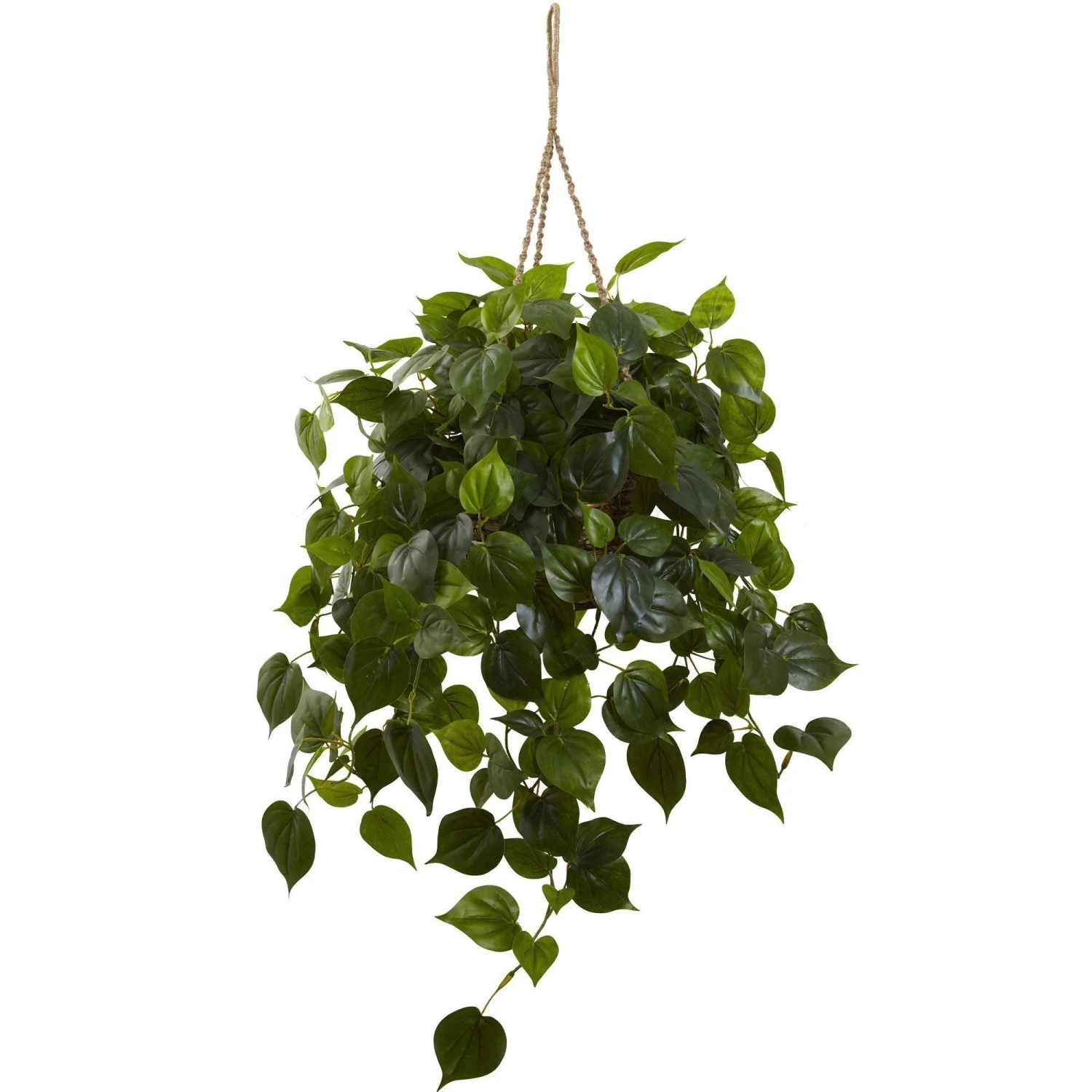 Philodendron Hanging Basket UV Resistant (Indoor/Outdoor) 1 Philodendron Hanging Basket UV Resistant (Indoor/Outdoor)
