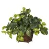 Pothos W/Coiled Rope Planter Silk Plant