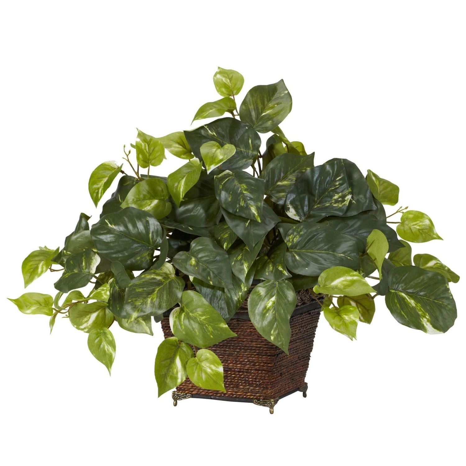 Pothos W/Coiled Rope Planter Silk Plant 1 Pothos W/Coiled Rope Planter Silk Plant