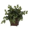 Puff Ivy W/Coiled Rope Planter Silk Plant