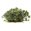 Puff Ivy W/Ledge Basket