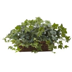 Puff Ivy W/Ledge Basket