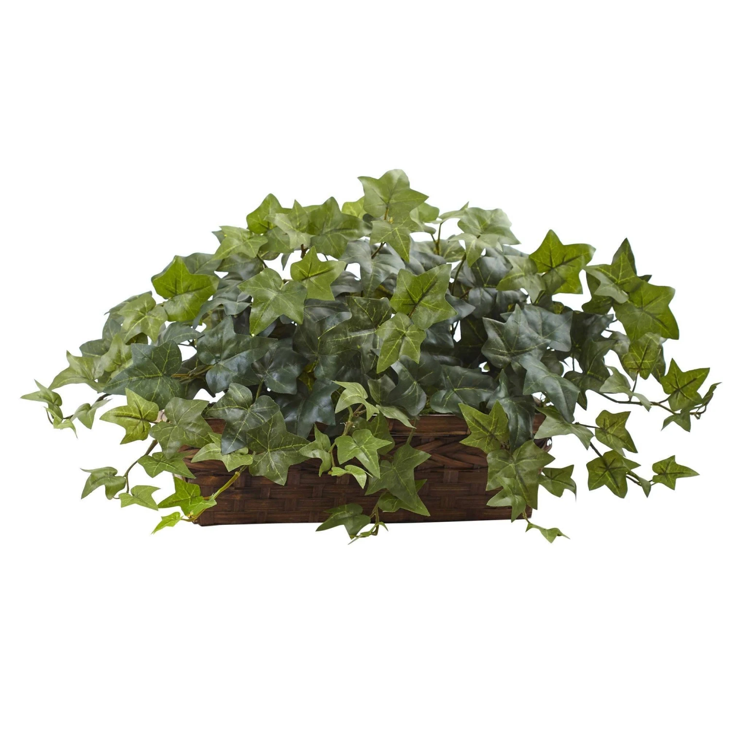 Puff Ivy W/Ledge Basket 1 Puff Ivy W/Ledge Basket