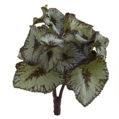 Rex Begonia Artificial Bush (Set Of 12)
