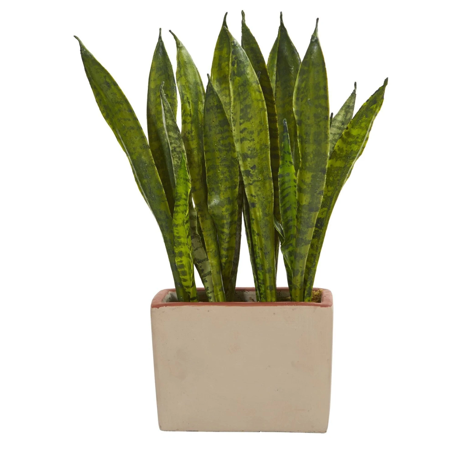 Sansevieria Artificial Plant In Ceramic Planter 1 Sansevieria Artificial Plant In Ceramic Planter
