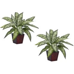 Silver Queen Silk Plant (Set Of 2)