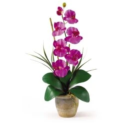 Single Stem Phalaenopsis Silk Orchid Arrangement -Artificial Trees Store artificial single stem phalaenopsis silk orchid arrangement nearly natural orchid 534753