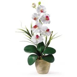 Single Stem Phalaenopsis Silk Orchid Arrangement -Artificial Trees Store artificial single stem phalaenopsis silk orchid arrangement nearly natural white 180247