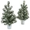 Snowy Pine Christmas Tree With Tin (Set Of 2)