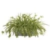Spider Plant Artificial Plant In Stone Planter