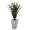 Spiked Agave In Cement Planter (Indoor/Outdoor)