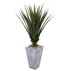 Spiked Agave In Cement Planter (Indoor/Outdoor)