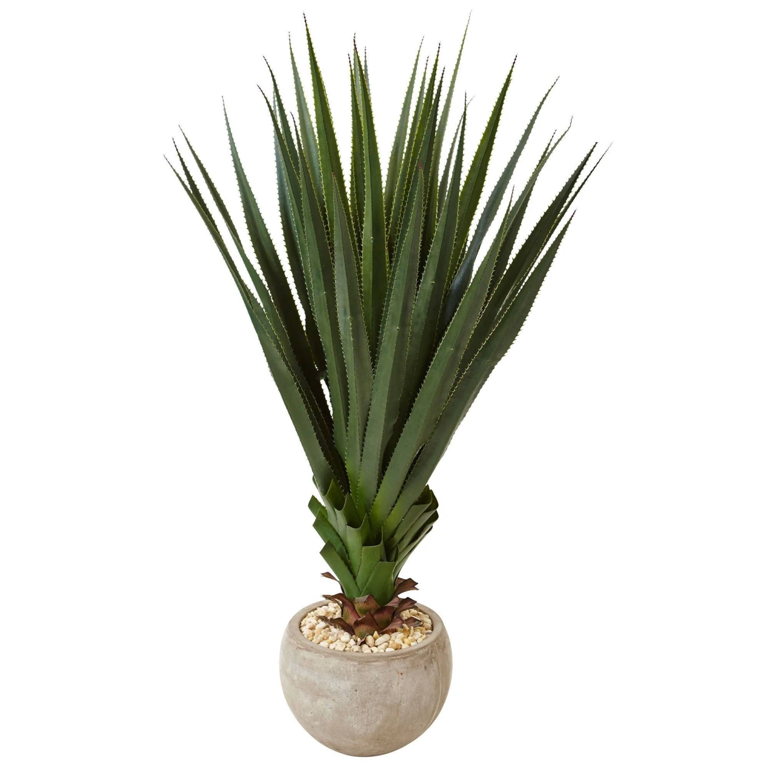 Spiked Agave In Sand Colored Bowl (Indoor/Outdoor) 1 Spiked Agave In Sand Colored Bowl (Indoor/Outdoor)