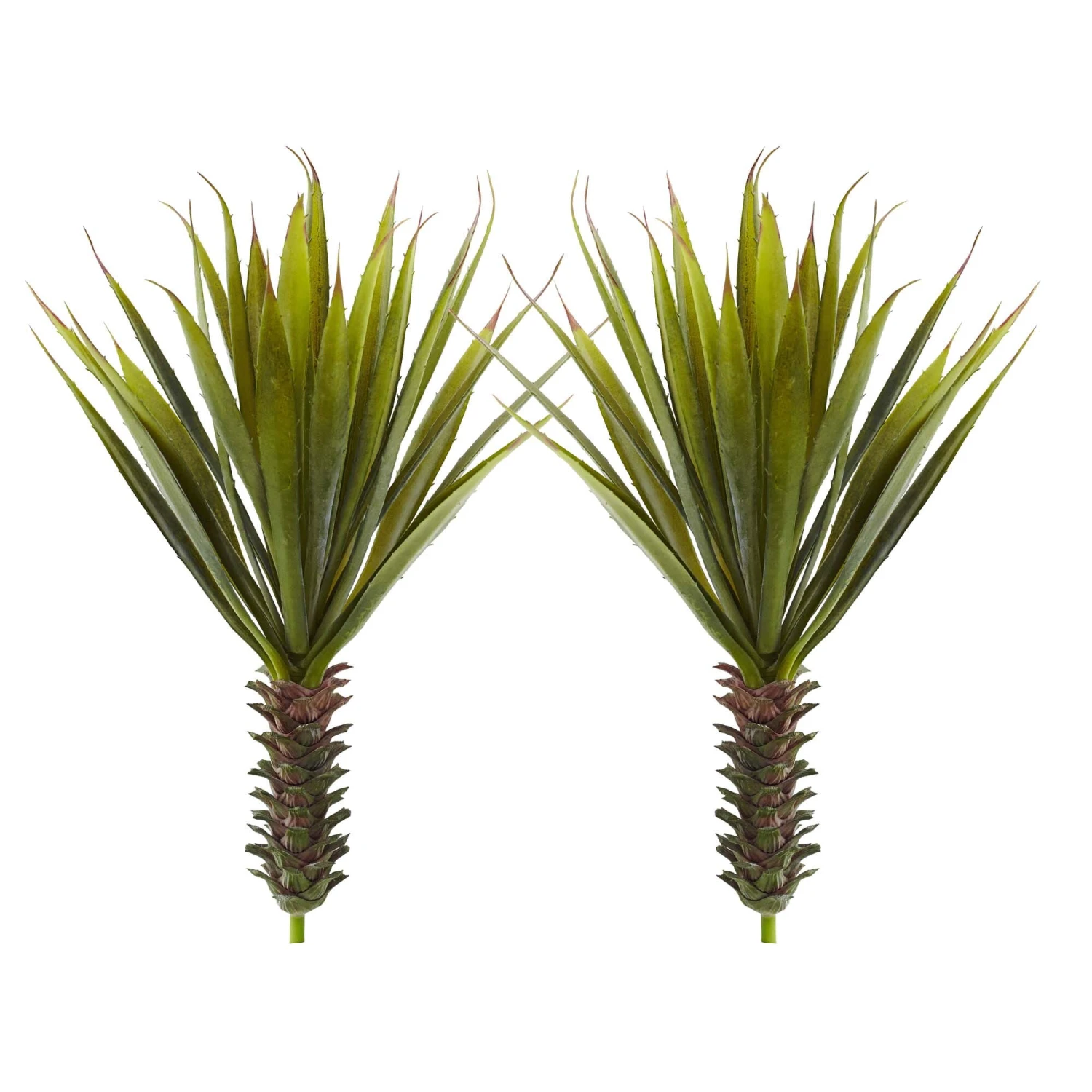 Spiky Agave Succulent Plant (Set Of 2) 2 Spiky Agave Succulent Plant (Set Of 2) - Image 2