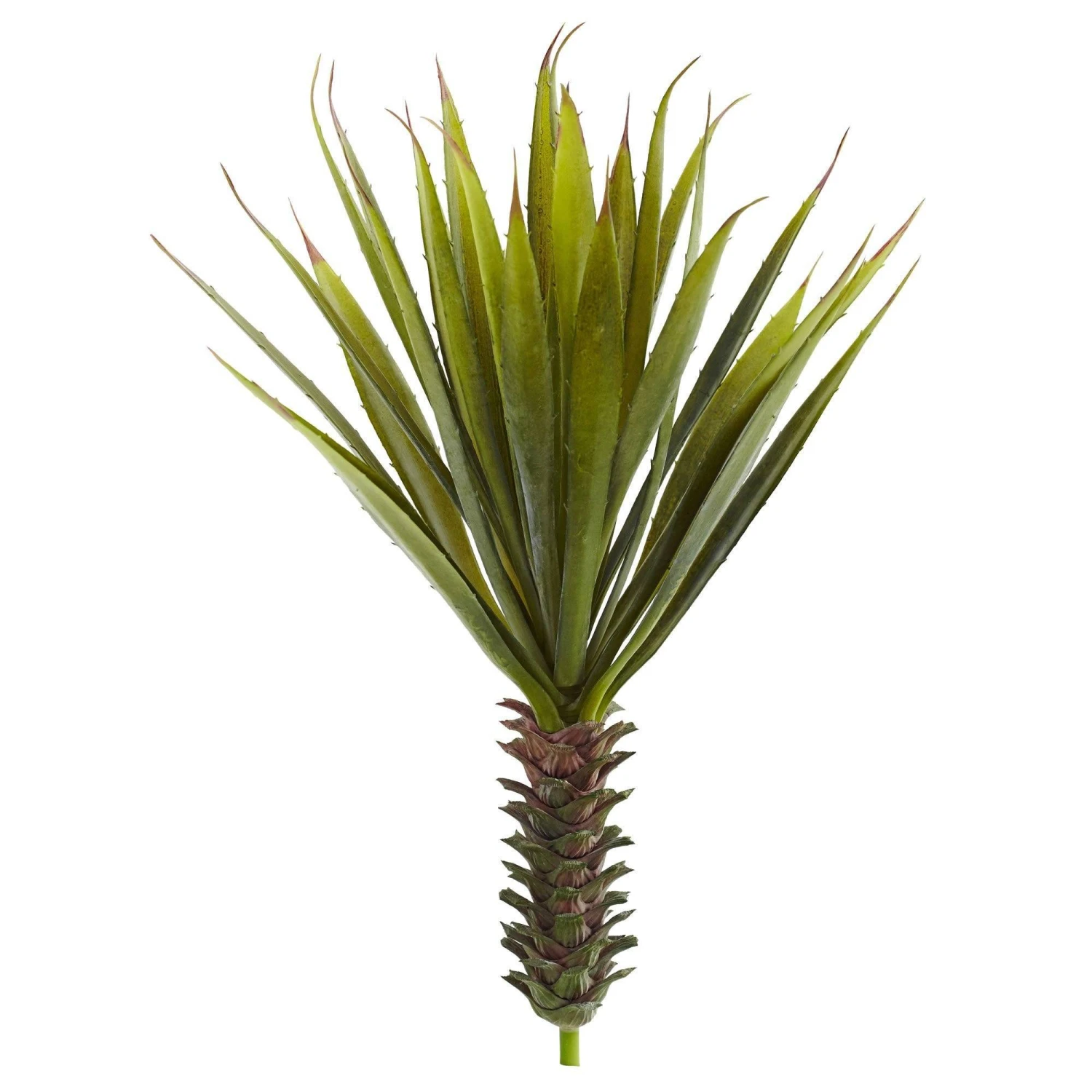 Spiky Agave Succulent Plant (Set Of 2) 1 Spiky Agave Succulent Plant (Set Of 2)