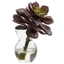 Succulent Arrangements (Set Of 3) -Artificial Trees Store artificial succulent arrangements set of 3 nearly natural 562230